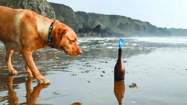 Dog finds Canadian message in a bottle on Scottish beach